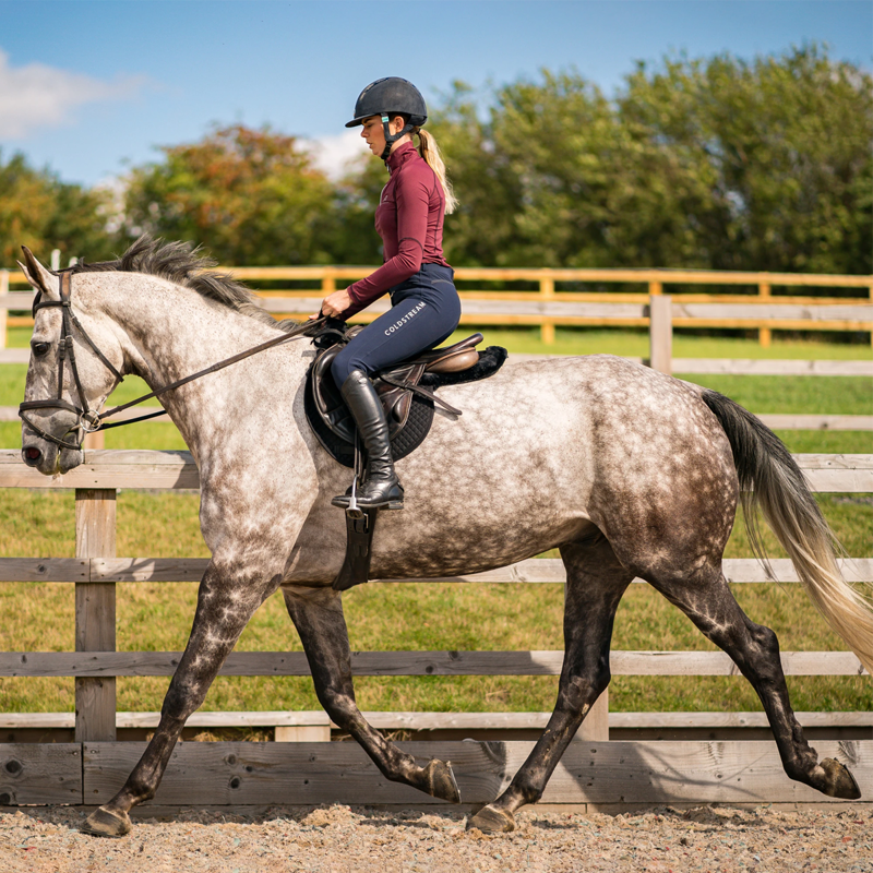 Coldstream Kilham Competition Breeches - Navy-1