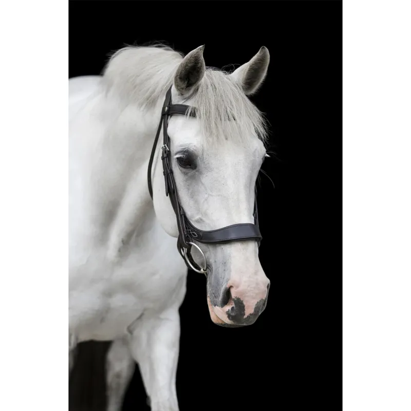 Ecorider Freedom Comfort Bridle - Brown-1