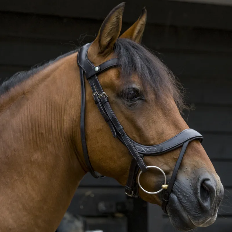Ecorider Freedom Comfort Bridle - Black