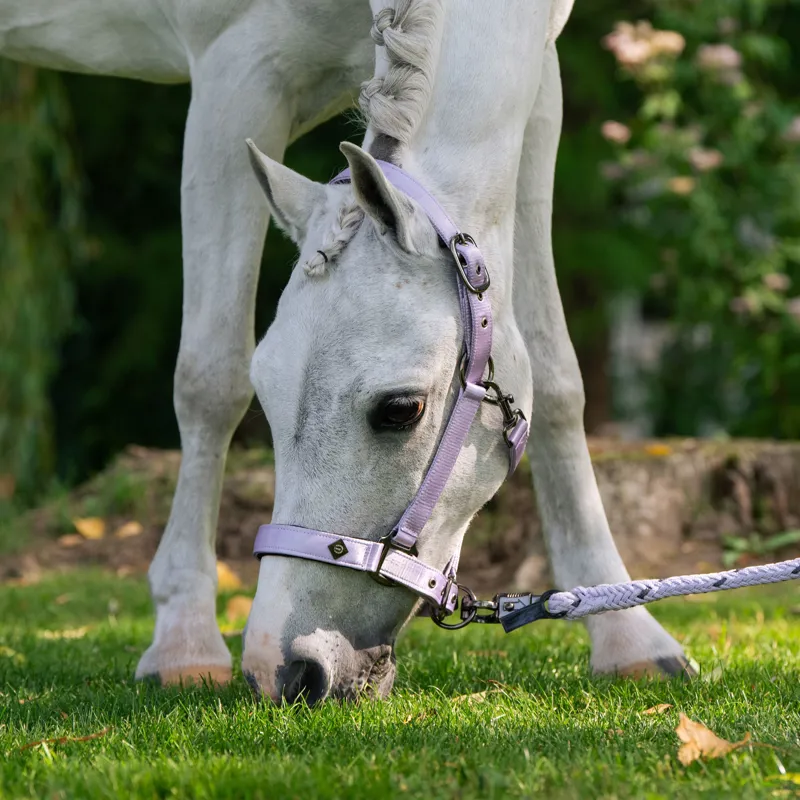 Imperial Riding Rebel Headcollar - Wisteria-1