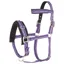 Imperial Riding Cavesson - Royal Purple