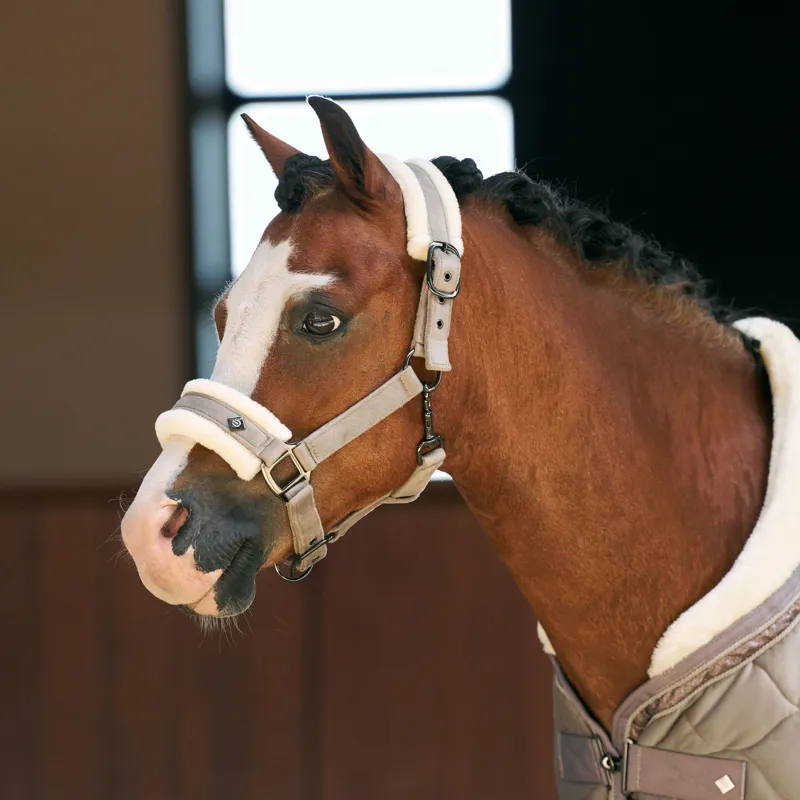 Imperial Riding Bandit Headcollar - Taupe-1