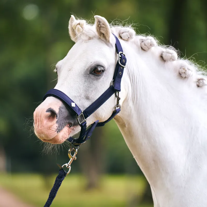 Imperial Riding Rebel Headcollar - Navy-1