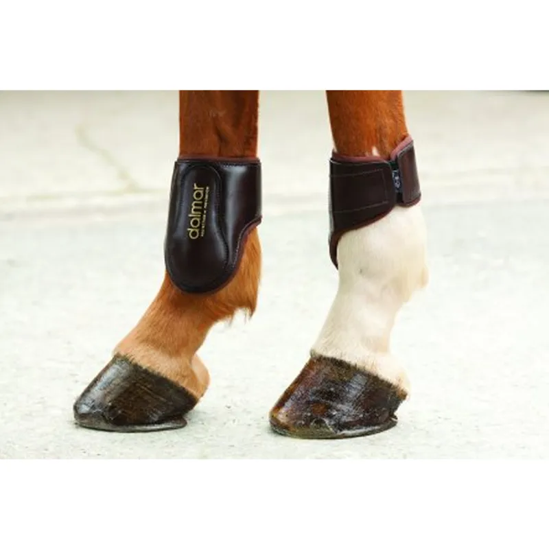 Dalmar SJ Fetlock Boot - Brown