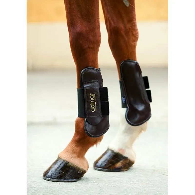 Dalmar SJ Open Front Tendon Boot - Black