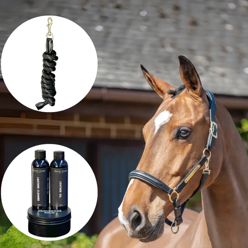 Henry James Headcollar and Rope with Mini Leather Care Kit and Tote Bag - Black