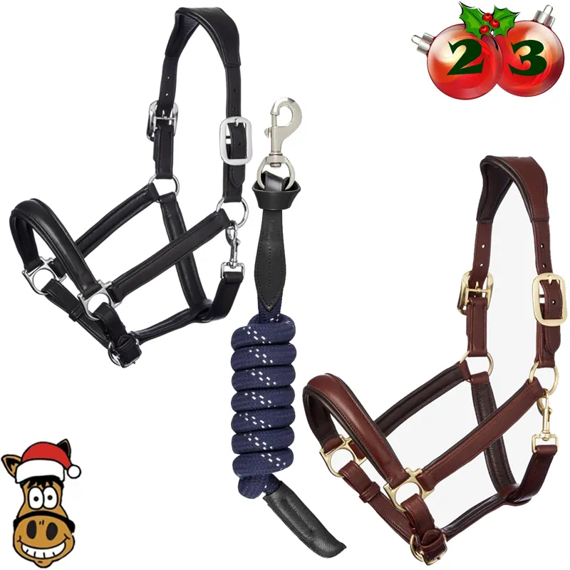 Day 23 - LeMieux Anatomic Headcollar and Navy Lasso Leadrope