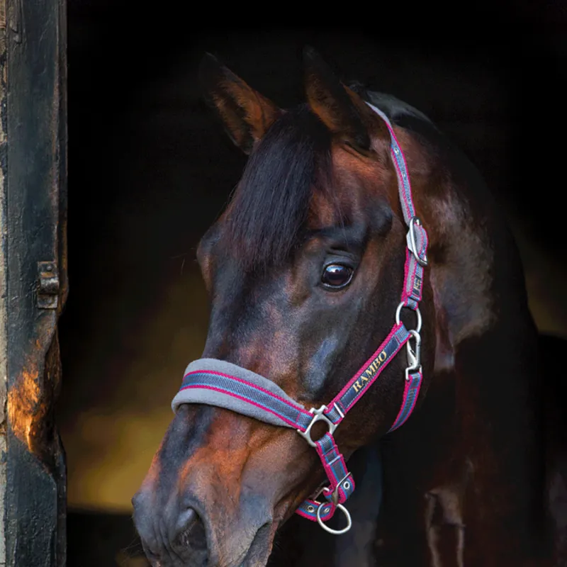 Horseware Rambo Padded Headcollar - Witney Cherry