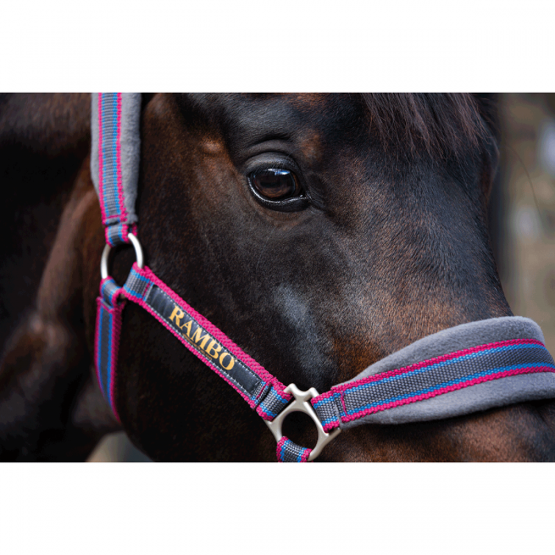Horseware Rambo Padded Headcollar - Witney Cherry-2
