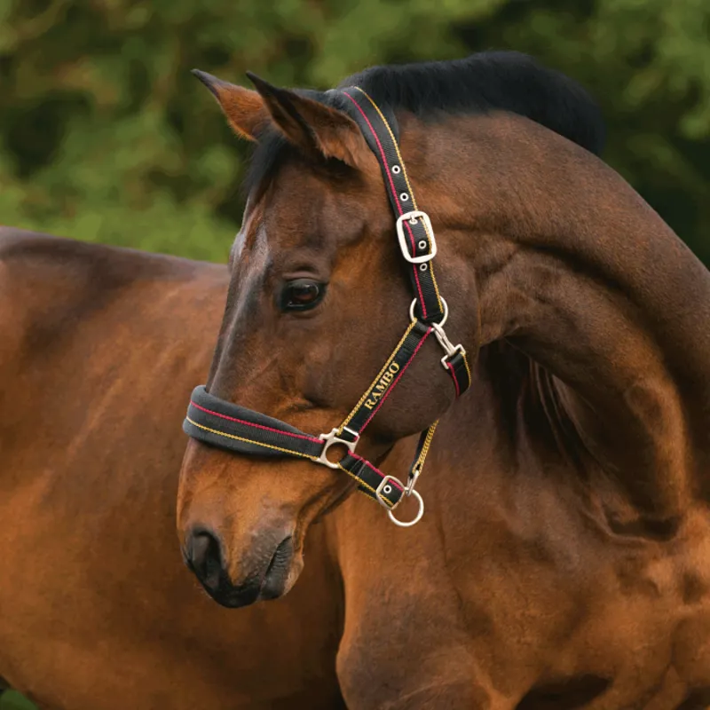 Horseware Rambo Padded Headcollar - Black/Tan/Orange