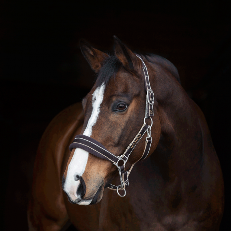 Horseware Rambo Padded Headcollar - Witney Brown