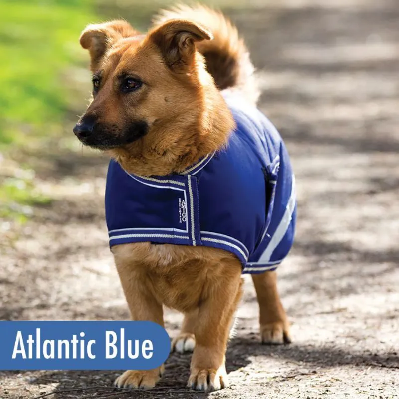 Horseware Amigo Waterproof Dog Rug Coat 100g - Atlantic Blue/Blue/Ivory