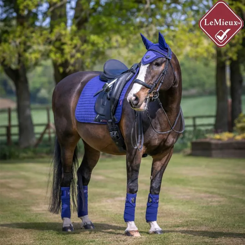 LeMieux Suede Dressage Square - Ink Blue-1