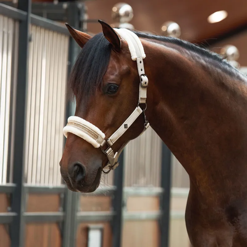 Imperial Riding Jewel Headcollar - Taupe-1