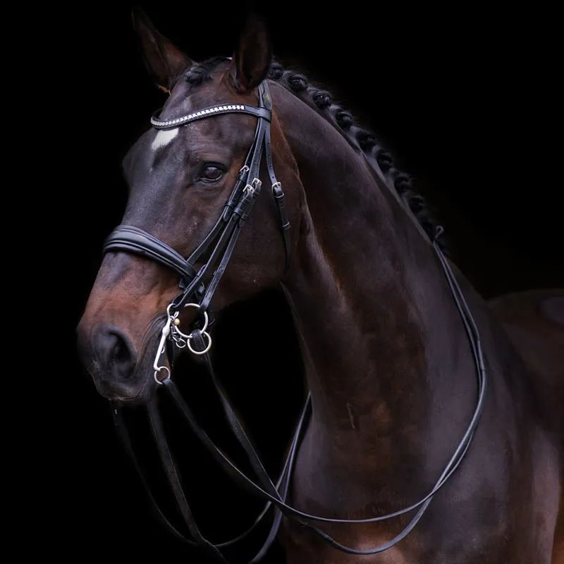 Imperial Riding Fria Weymouth Bridle - Black-1