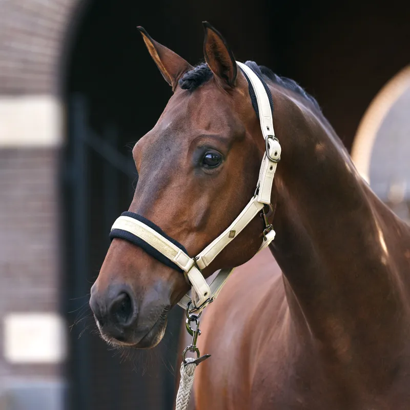 Imperial Riding Jewel Mesh Headcollar - Light Olive-1
