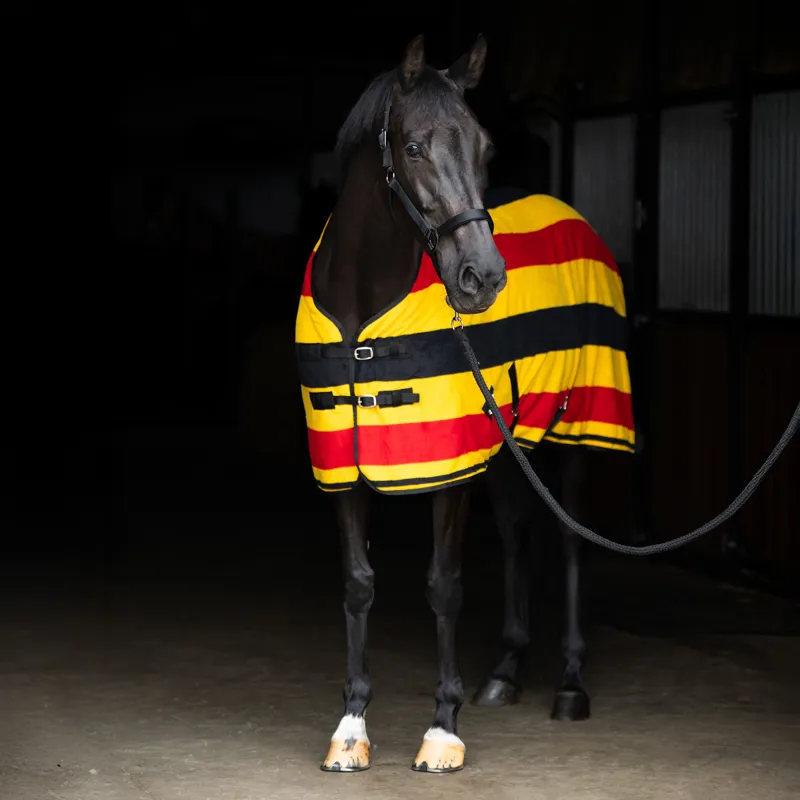 Imperial Riding Stripe Fleece Rug - Gold-1