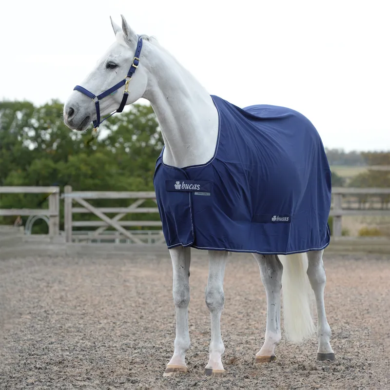 Bucas Power Cooler - Navy/Silver