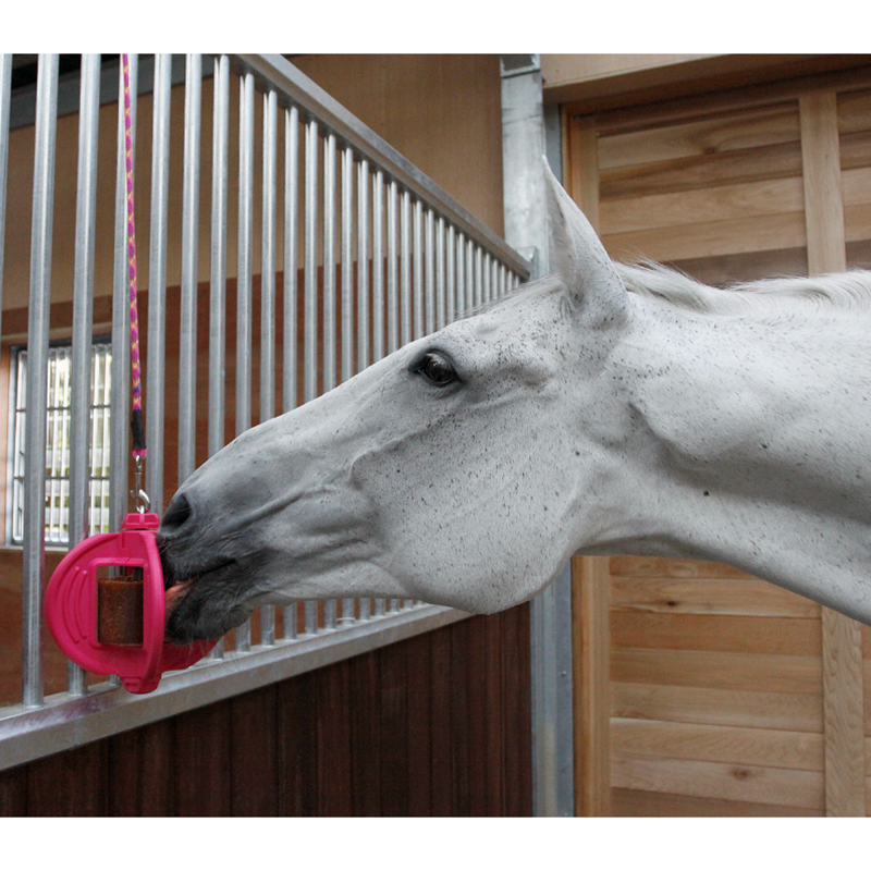 Bizzy Horse Bizzy Ball - Hot Pink-4