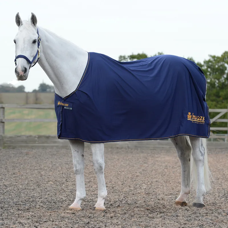 Bucas Prize Cooler - Navy/Gold Logo