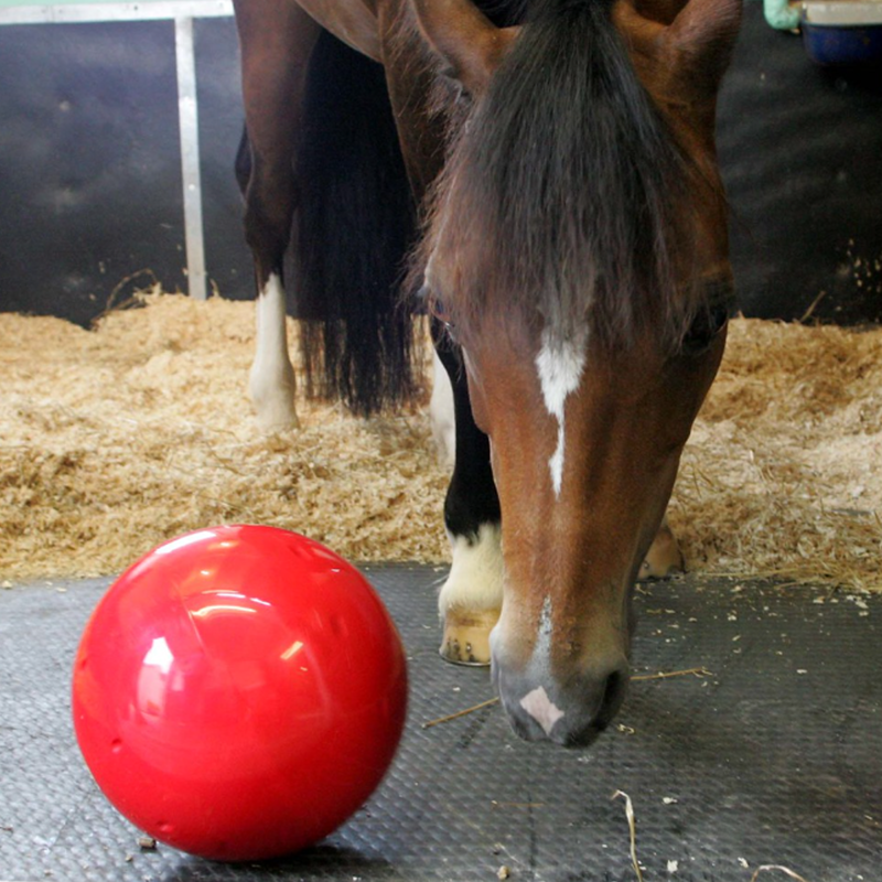 Likit Snak-a-Ball - Red-2