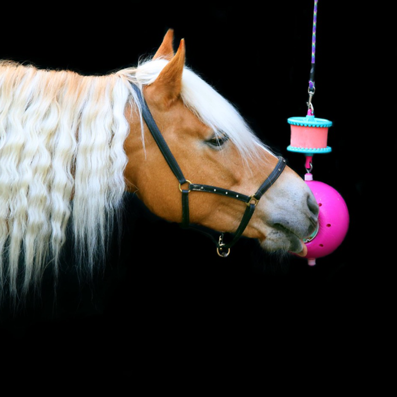 Likit Boredom Breaker - Glitter Pink-1