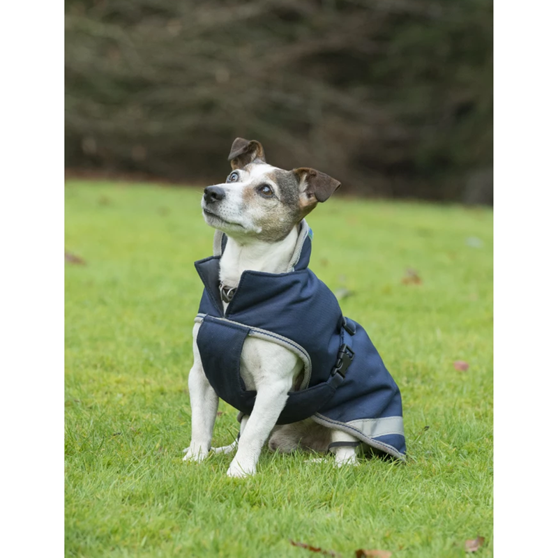 Bucas Freedom 50g Dog Rug Coat - Navy/Silver -1