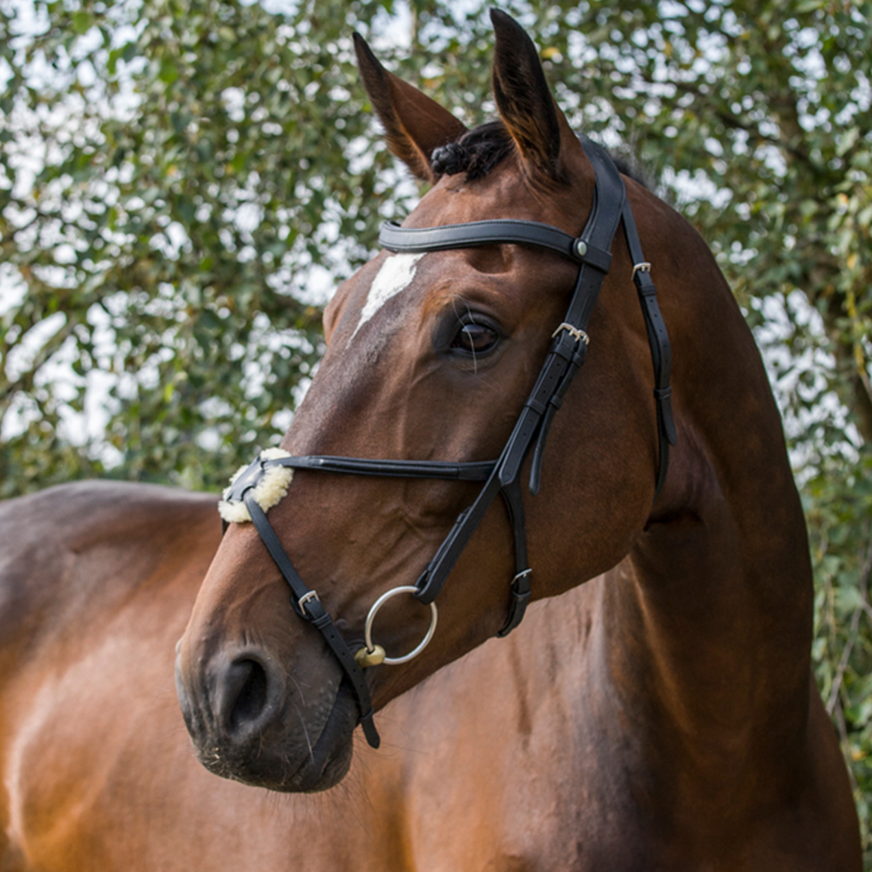 Ecorider Freedom Grackle Bridle - Black-1