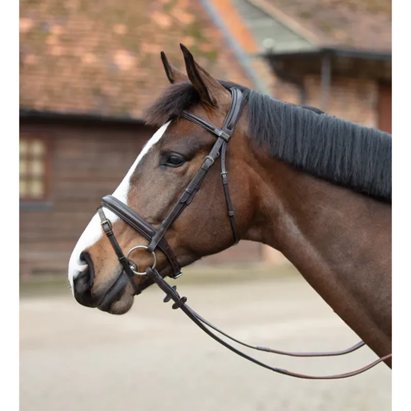 Mark Todd Padded Flash Bridle - Black