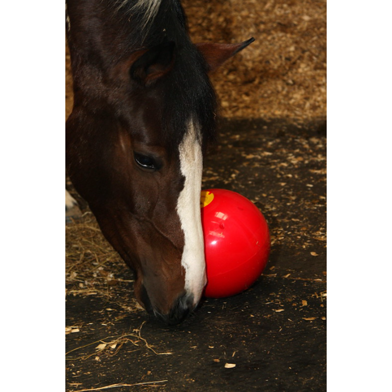 Likit Snak-a-Ball - Red-3