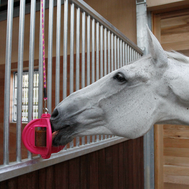 Bizzy Bites Toy Refill - Garlic-2