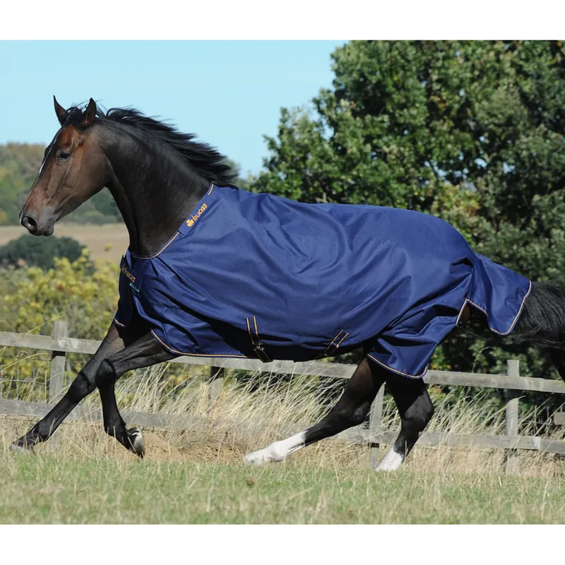 Bucas Irish Turnout Light 50g - Navy/Gold