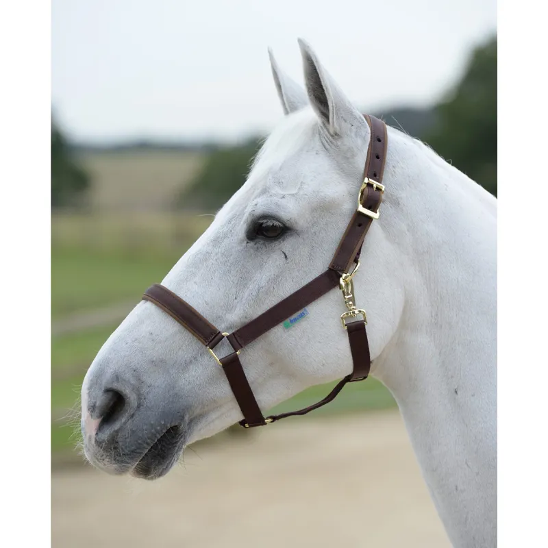 Bucas Dublin Halter - Brown/Brown