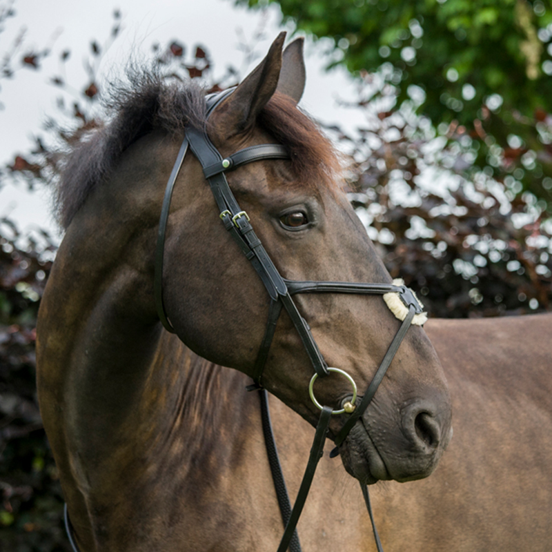 Ecorider Freedom Grackle Bridle - Black-3