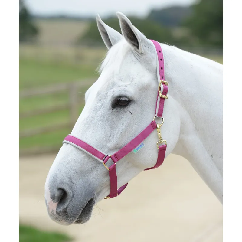 Bucas Dublin Halter - Berry/Silver