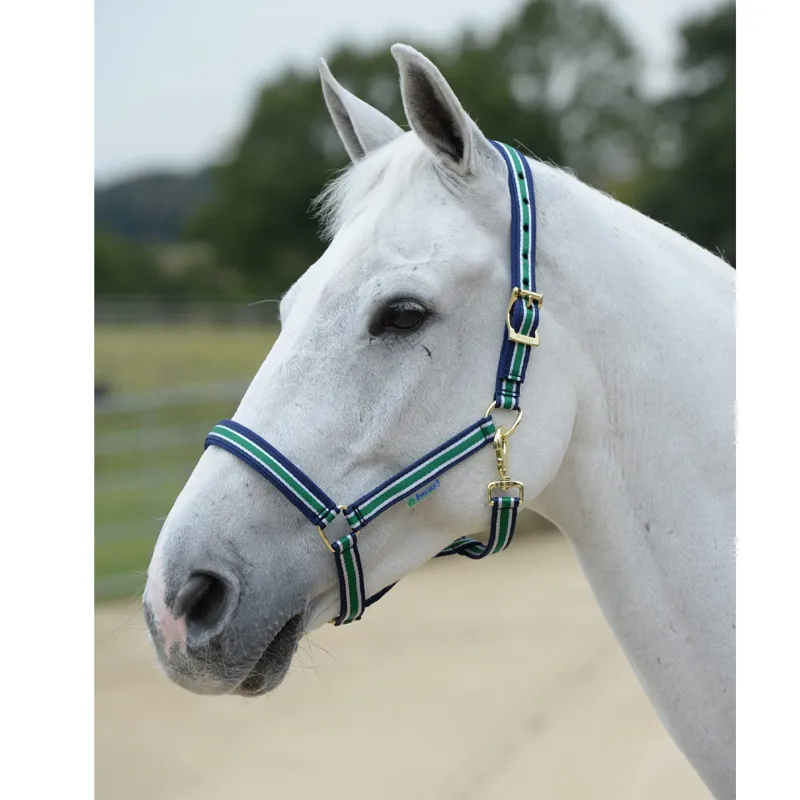 Bucas Dublin Halter - Navy Stripe