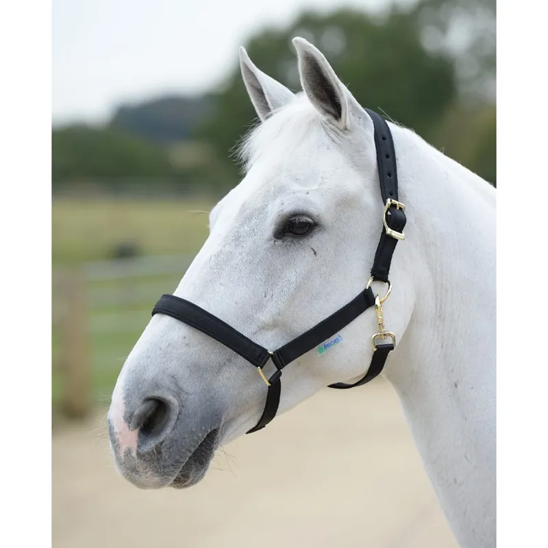 Bucas Dublin Halter - Black/Black