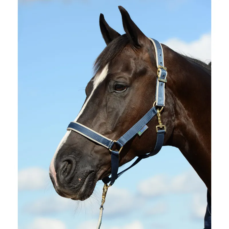 Bucas Dublin Halter - Navy/Silver