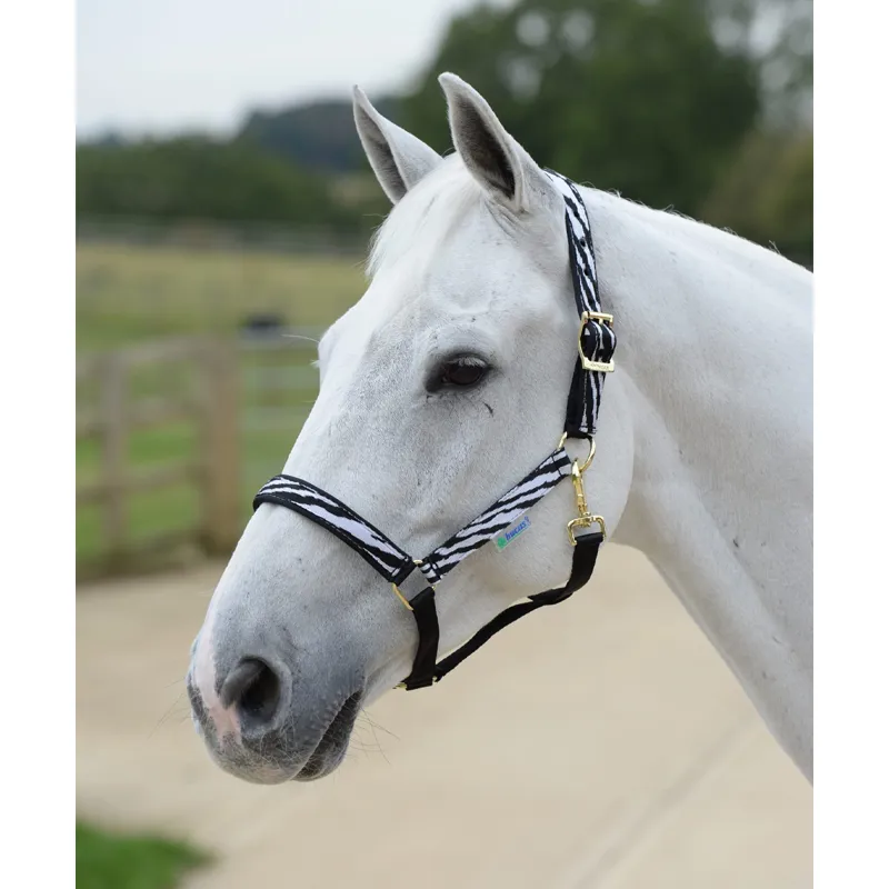 Bucas Dublin Halter - Zebra/Black