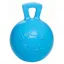 Horsemen's Pride Jolly Ball - Blueberry Scented Blue