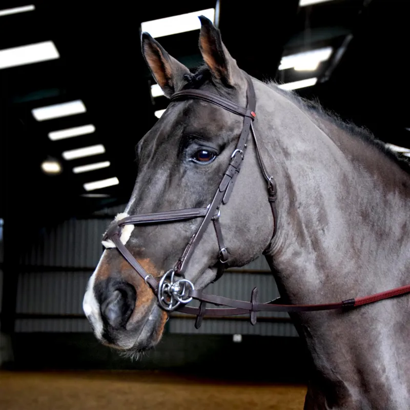 John Whitaker Ready to Ride Mexican Bridle - Havana