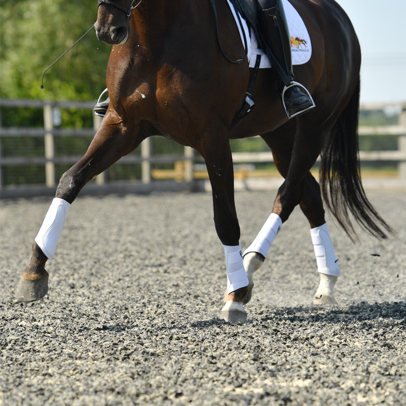 Equilibrium Tri-Zone Brushing Boots - White -3