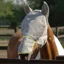 Equilibrium Field Relief Max Fly Mask - Grey/Yellow