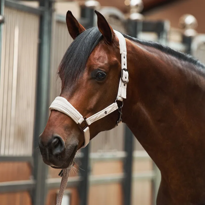 Imperial Riding Penny Herringbone Headcollar - Taupe