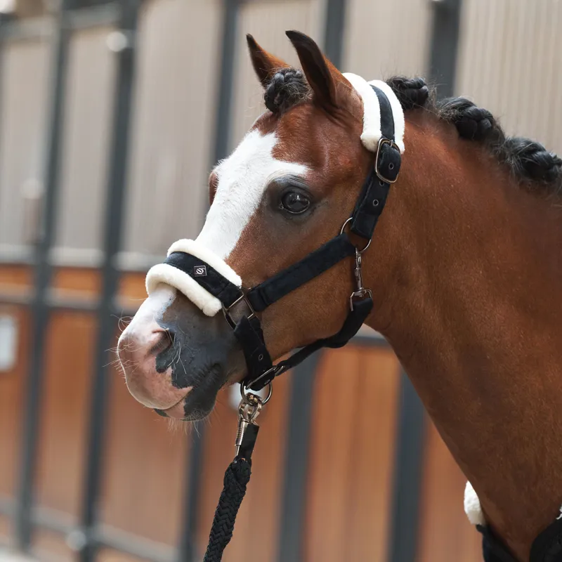 Imperial Riding Bandit Headcollar - Black-1