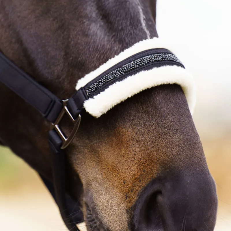 Imperial Riding Jewel Headcollar - Black-3