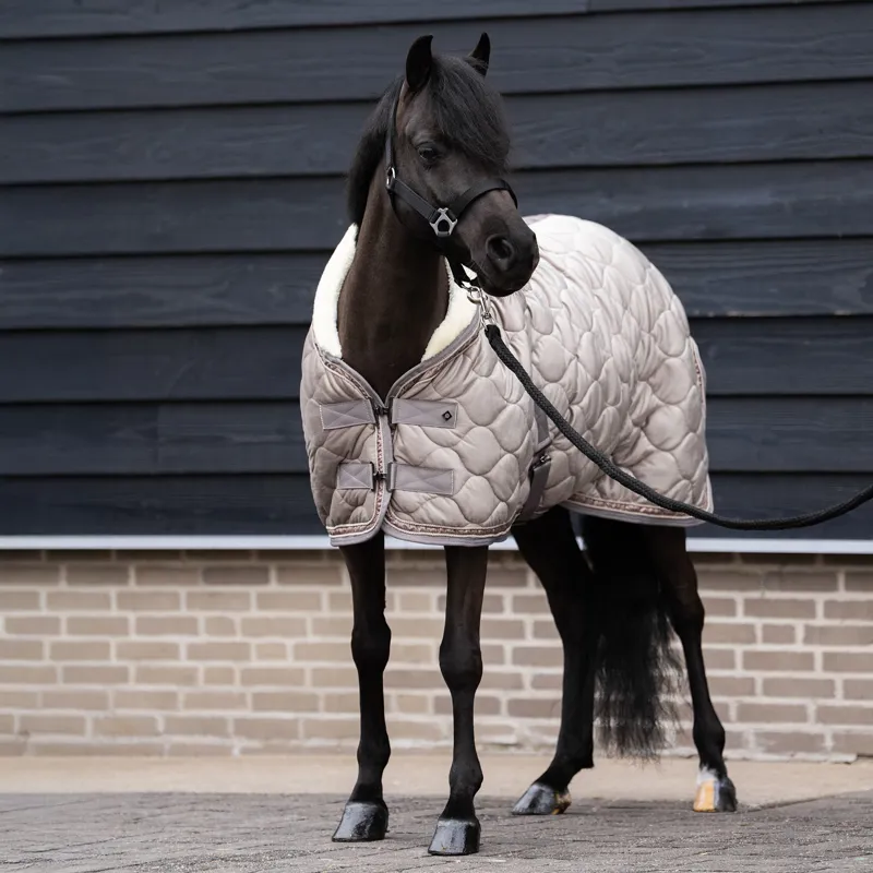 Imperial Riding Bandit Show Rug - Taupe-1