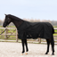 Imperial Riding Limited Highneck 0g Turnout Rug - Black