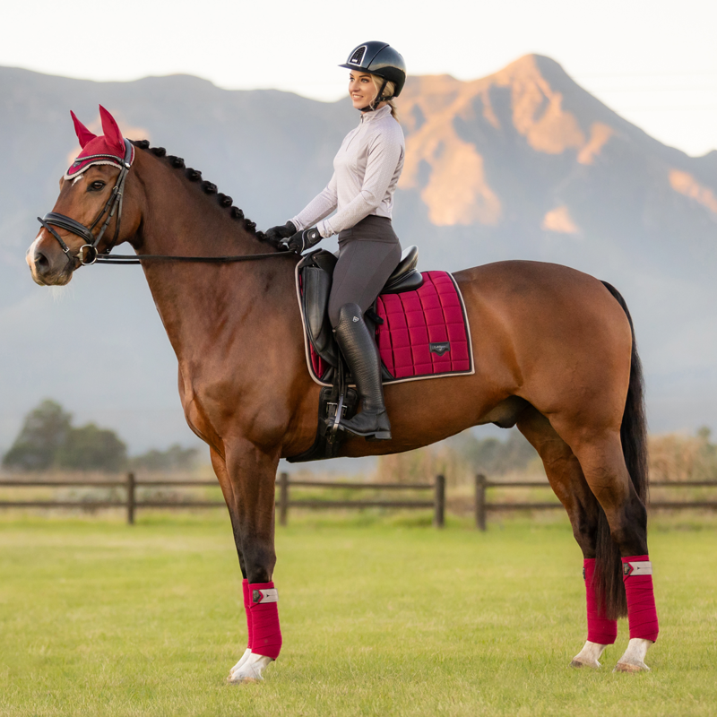 LeMieux Ladies Faith Base Layer - Ash-6