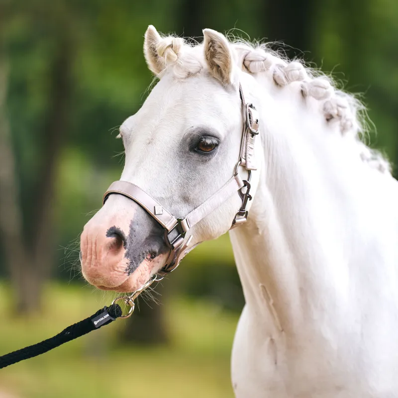 Imperial Riding Rebel Headcollar - Grey/Sand-1